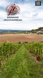 Mobile Screenshot of domaine-cruchandeau.com