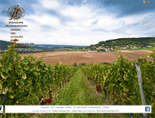 Tablet Screenshot of domaine-cruchandeau.com